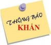 THÔNG BÁO TRỰC BÃO SỐ 9