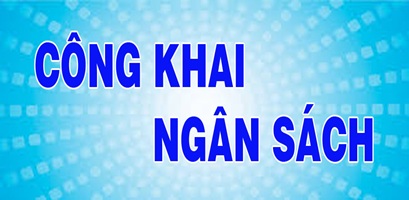 CÔNG BỐ CÔNG KHAI QUYẾT TOÁN NGÂN SÁCH NHÀ NƯỚC NĂM 2020