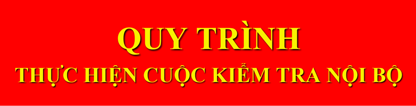 QUY TRÌNH THỰC HIỆN CUỘC KIỂM TRA NỘI BỘ